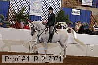 11r12_7971 proof