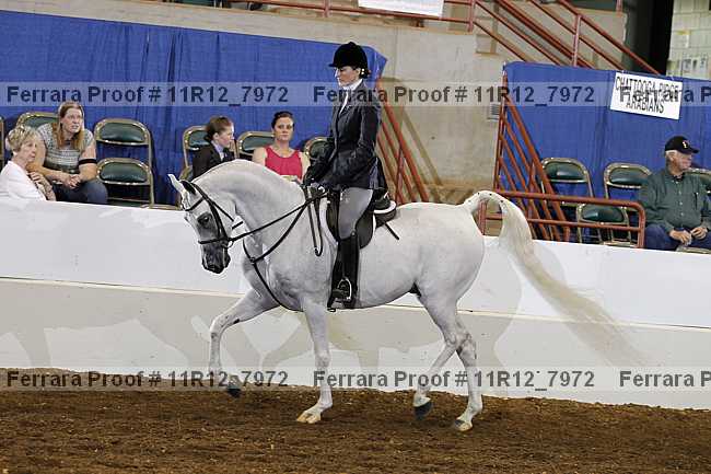 Proof 11r12_7972