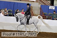 11r12_7972 proof