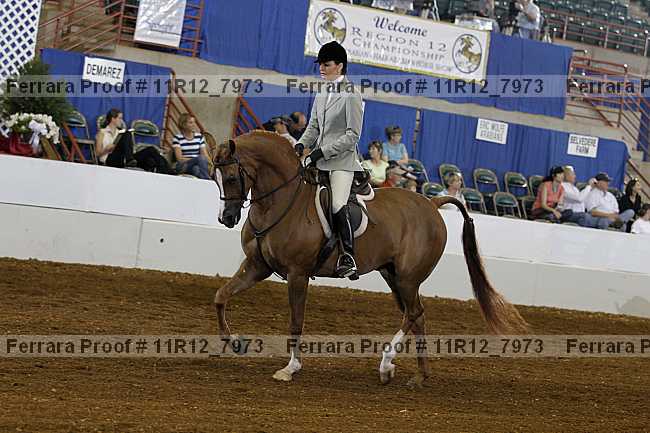 Proof 11r12_7973