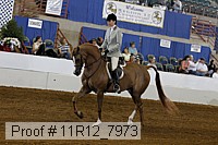 11r12_7973 proof