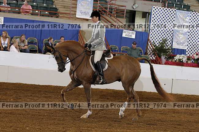 Proof 11r12_7974