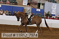11r12_7974 proof