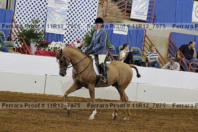 Proof 11r12_7975