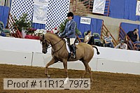 11r12_7975 proof