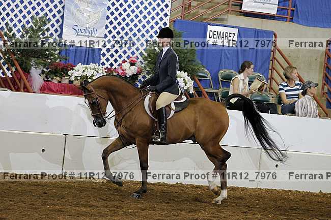 Proof 11r12_7976