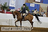 11r12_7976 proof