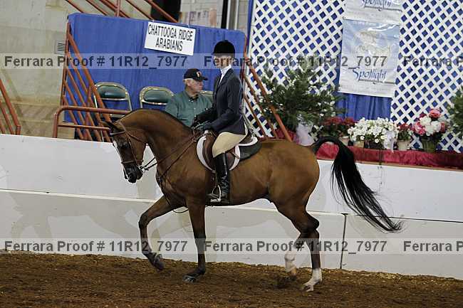 Proof 11r12_7977