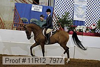 11r12_7977 proof