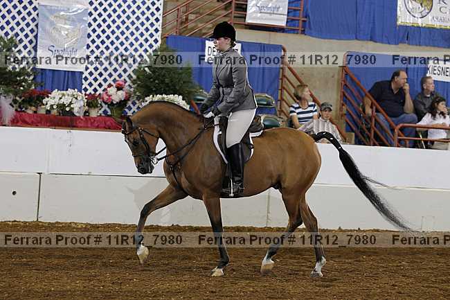 Proof 11r12_7980