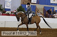 11r12_7980 proof