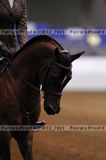 Proof 11r12_7981