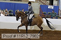 11r12_7982 proof