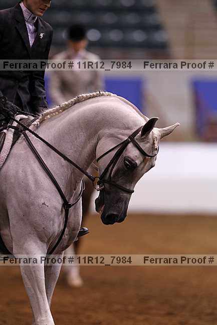 Proof 11r12_7984