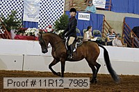 11r12_7985 proof