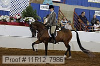 11r12_7986 proof