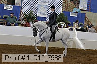 11r12_7988 proof