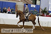 11r12_7989 proof