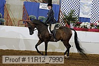 11r12_7990 proof