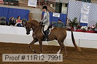 11r12_7991 proof