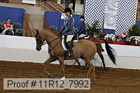 11r12_7992 proof