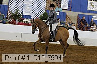 11r12_7994 proof