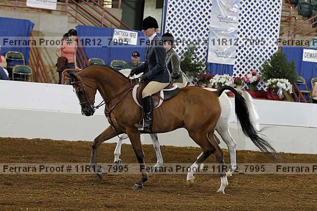 Proof 11r12_7995