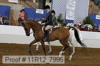 11r12_7995 proof