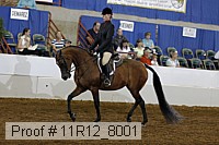11r12_8001 proof