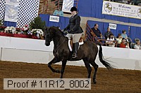 11r12_8002 proof