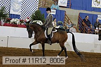 11r12_8005 proof