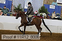 11r12_8006 proof