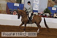 11r12_8008 proof