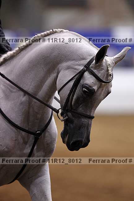 Proof 11r12_8012