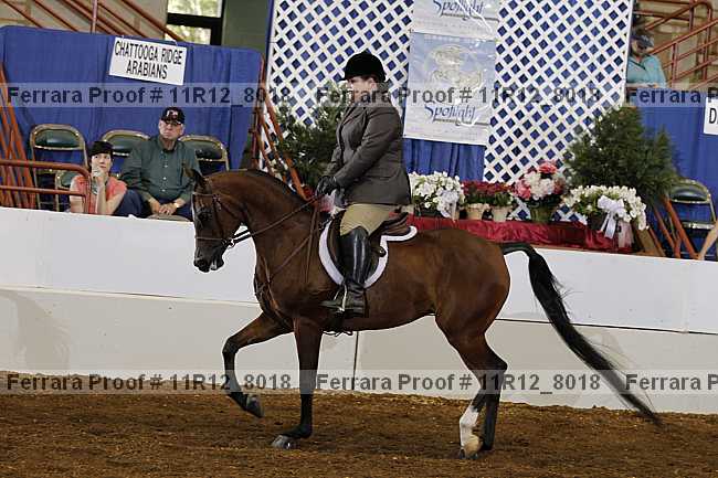 Proof 11r12_8018
