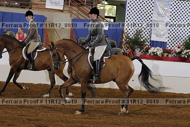 Proof 11r12_8019
