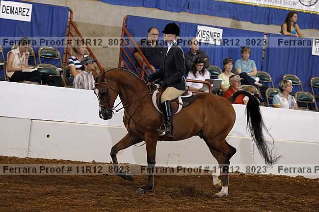 Proof 11r12_8023