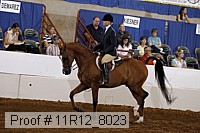 11r12_8023 proof