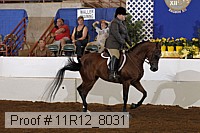 11r12_8031 proof