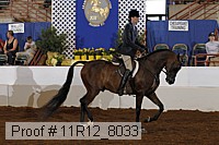 11r12_8033 proof