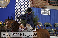 11r12_8039 proof