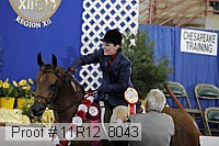 11r12_8043 proof