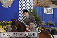 11r12_8049 proof