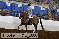 11r12_8066 proof