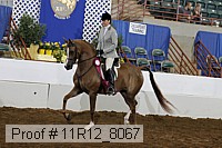 11r12_8067 proof