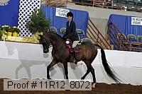 11r12_8072 proof