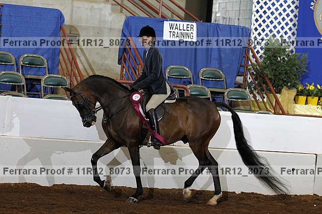 Proof 11r12_8073
