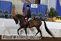 11r12_8073 proof