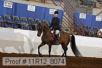 11r12_8074 proof