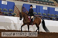 11r12_8076 proof